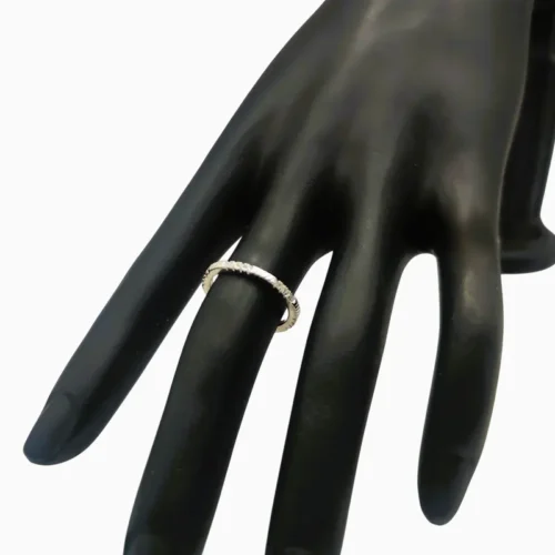 Anillo De Plata Fila Brillante