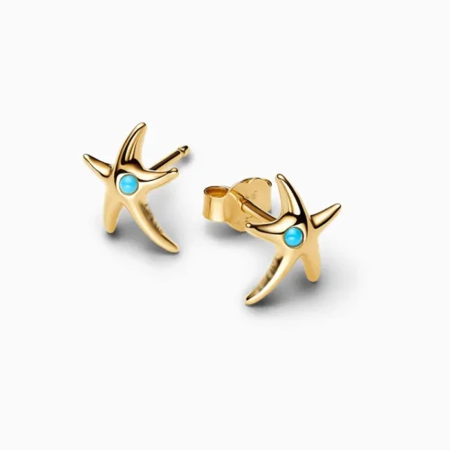 Aretes Broquel De Plata Estrella De Mar