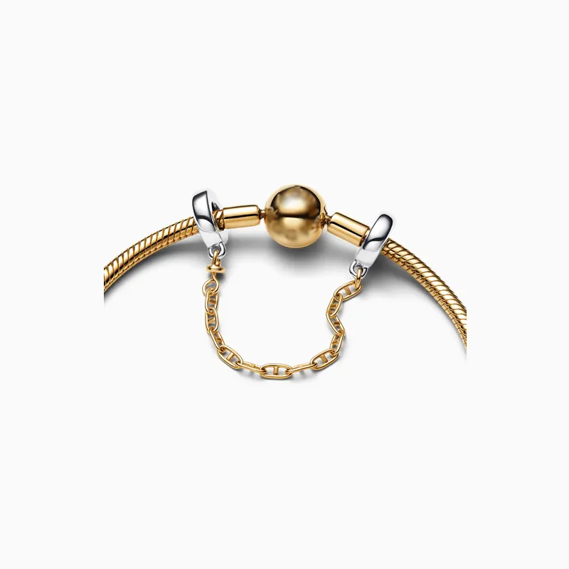 Cadena De Seguridad Alargada