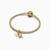 Charm Doble Estrella De Mar