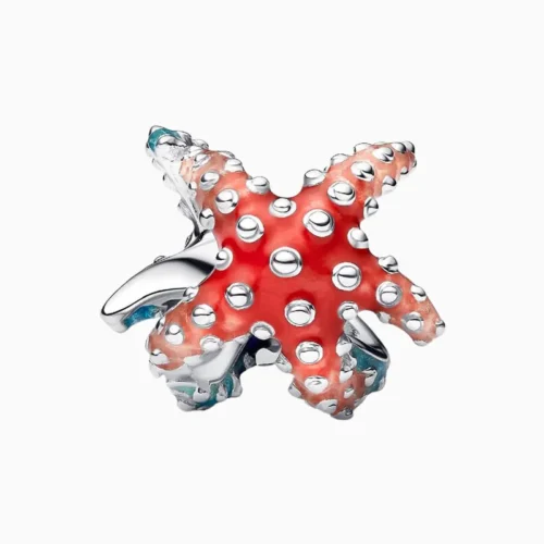 Charm Estrella De Mar Colorida