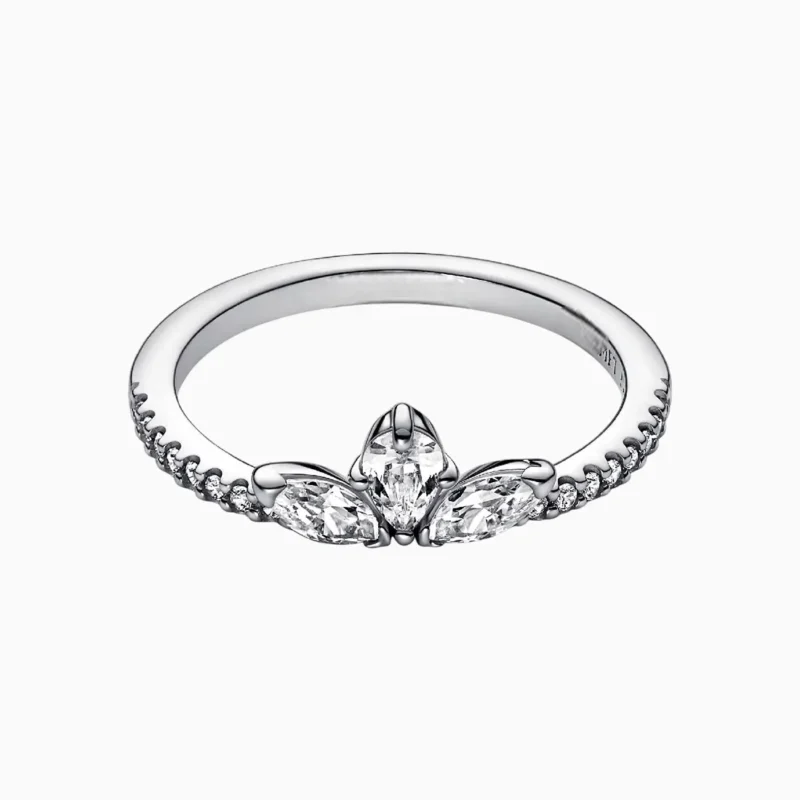 Anillo De Plata Herbario Plateado