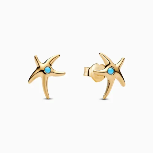Aretes Broquel De Plata Estrella De Mar
