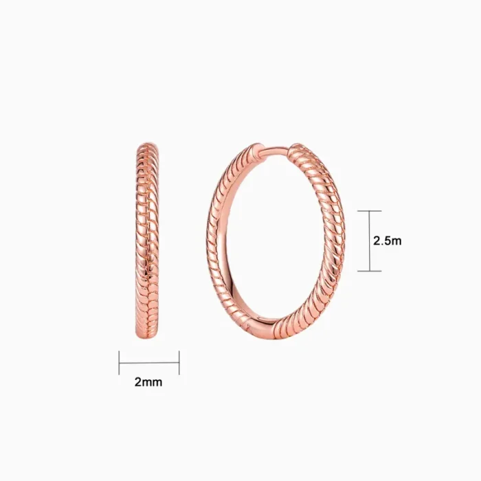 Arracadas De Plata Para Charms