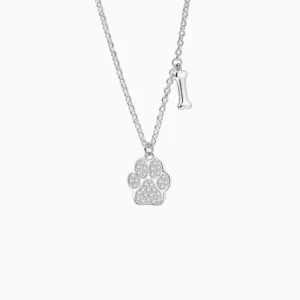 Collar De Plata Dije Huella De Mascota